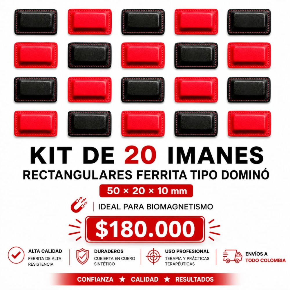 Kt de 20 imanes Ferrita tipo dominó