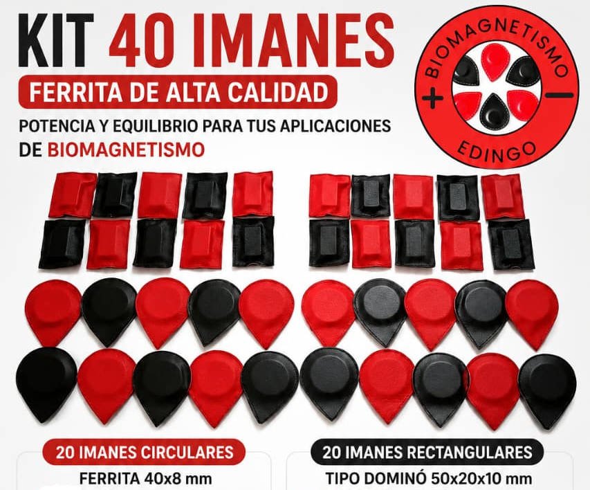 Kit 40 Imanes Ferrita