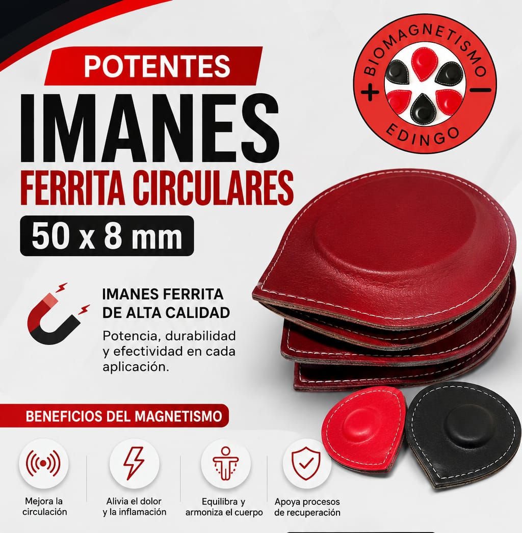 Kit 10 Imanes Circulares Potentes Ferrita